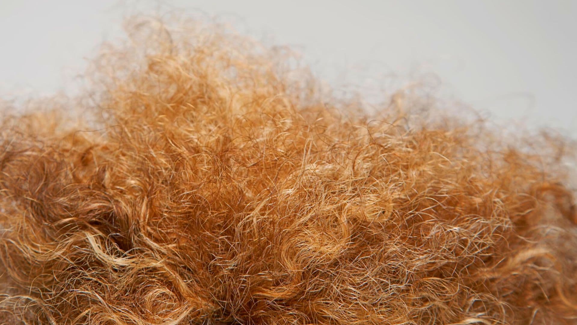 Understanding Hair Frizz and How to Stop It.